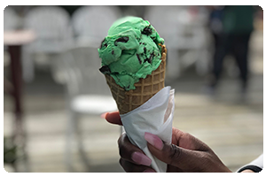 Mint Chocolate chip icecream cone.